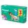 Fralda Personal Baby Protect & Sec XXG 50un