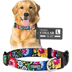 Coleira Mais Dog Femea Nº 02