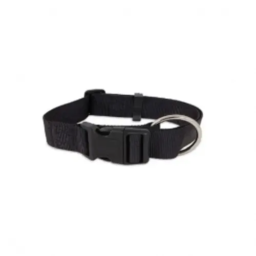 Coleira Mais Dog Macho Nº 02
