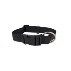 Coleira Mais Dog Macho Nº 02