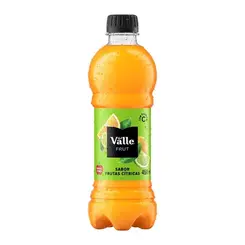 SUCO DEL VALLE FRUTA CITRUS 450ML