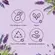Shampoo Love Beauty and Planet Nutrição Antifrizz 300ml
