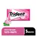 Chiclete Trident Tutti-Frutti Sem Açúcar 8g 5 Unidades