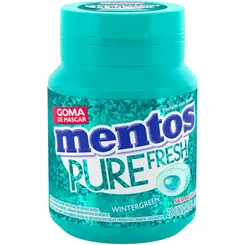 Chiclete Mentos Fresh Wintergreen 56g