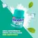 Chiclete Mentos Fresh Wintergreen 56g