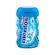 Chiclete Mentos Pure Fresh Mint Garrafa 92g