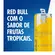 Energético Red Bull Tropical Edition 250ml