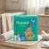 Fralda Personal Baby Protect & Sec G 22un