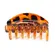 Piranha Life B Clássica Tartaruga Grande 8cm 1 Unidade