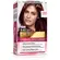 Kit Tintura Imédia Excellence L Oréal Vermelho Profundo 4466
