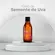Óleo Corporal Semente De Uva Farmax 100ml