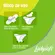 Absorvente Ladysoft Suave com Abas 8 Und