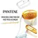 Shampoo Pantene Pro-V Restauração 400ml