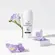 Desodorante Dove Invisible Care Violeta e Frésia Branca 50ml