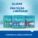Fralda Geriátrica Plenitud Protect Plus P/M 8 Unidades