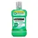 Enxaguante Antisséptico Bucal Listerine Anticáries Zero Álcool 500ml