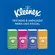 Lenço de Papel de Bolso Kleenex Dia a Dia 10 Un