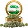Pastilha Valda Classic Lata 50g