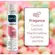 Shampoo Seco Fresh Candy 150mL