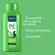 Talco Antisséptico Above Pé Protect Canforado 100g