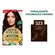 Kit Tintura Soft Color 323 Café Robusta