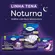 Fralda Geriátrica Tena Slip Noturna Tamanho M 16 Unidades