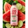 Bebida Jungle Low Carb Melancia Limão 500ml