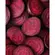 Suplemento Alimentar Plant Power Nitro4000 Beterraba Laranja Stick 9g